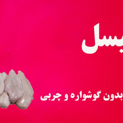 شنسل