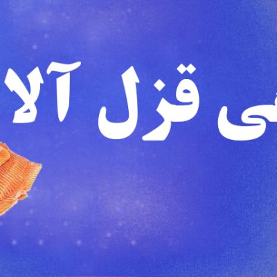 قزل الا برشی